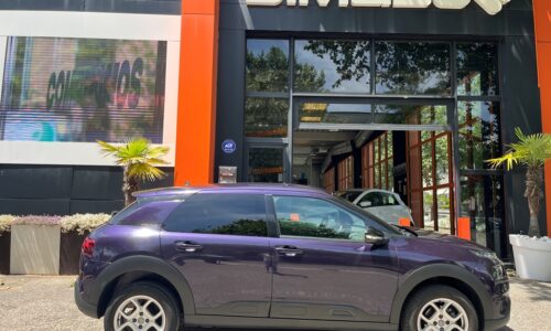 CITROEN C4 CACTUS PURETECH 110 SS FEEL de ocasión en Dimasu