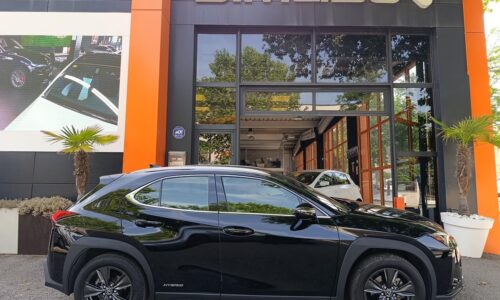 Lexus UX 250h 2.0 Business de ocasión en Dimasu