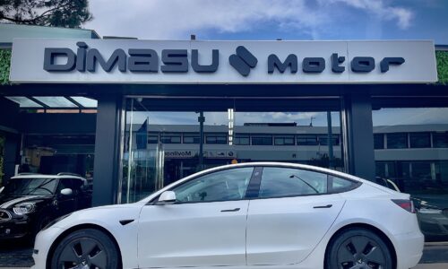 TESLA Model 3 Gran Autonomia 4WD de ocasión en Dimasu