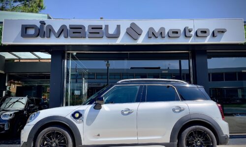 MINI COUNTRYMAN Cooper S E ALL4 de ocasión en Dimasu
