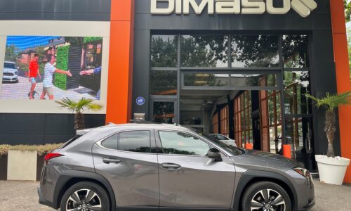 Lexus UX 250h 2.0 Luxury de ocasión en Dimasu