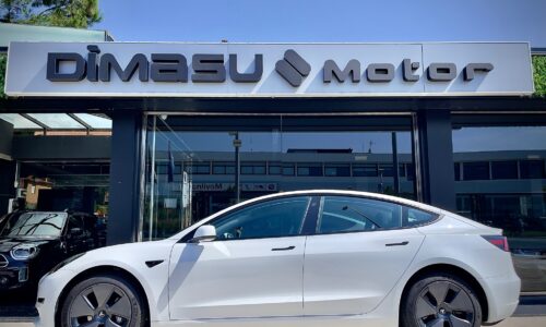 TESLA Model 3 RWD de ocasión en Dimasu