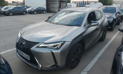 Lexus UX 250h 2.0 Business Navigation de ocasión en Dimasu