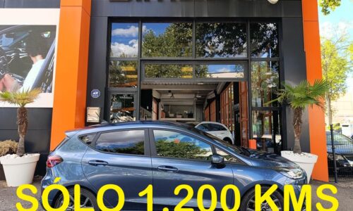 Ford Fiesta 1.0 EcoBoost MHEV ST-Line de ocasión en Dimasu