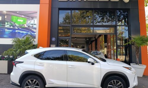 Lexus NX 300h 2.5 Executive Navigation 4WD de ocasión en Dimasu