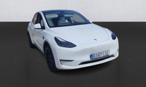 Tesla Model Y Gran Autonomía AWD de ocasión en Dimasu