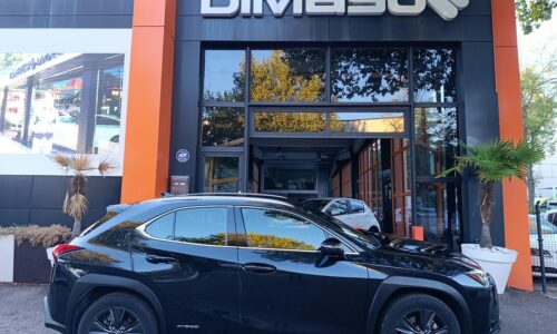 Lexus UX 250h 2.0 Business de ocasión en Dimasu