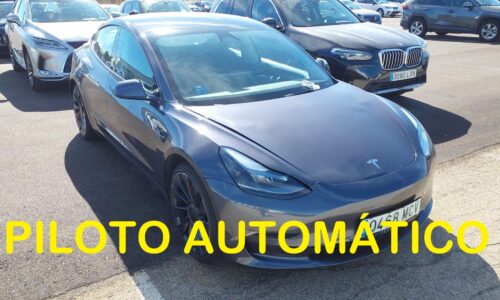 Tesla Model 3 Performance AWD de ocasión en Dimasu