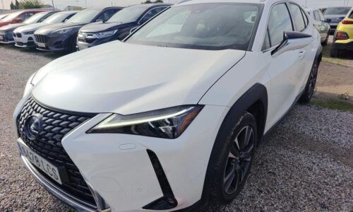 Lexus UX 250h 2.0 Luxury de ocasión en Dimasu