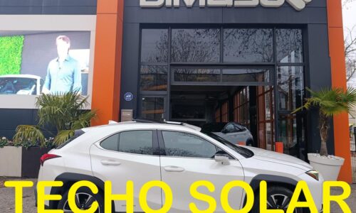 Lexus UX 250h 2.0 Luxury de ocasión en Dimasu