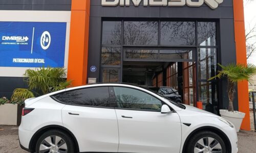 Tesla Model Y Gran Autonomía 4WD de ocasión en Dimasu