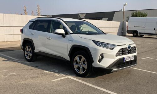 Toyota Rav4 2.5l 220h Luxury de ocasión en Dimasu