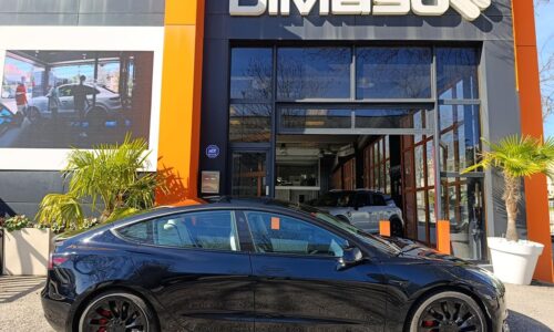 Tesla Model 3 Performance 4WD de ocasión en Dimasu