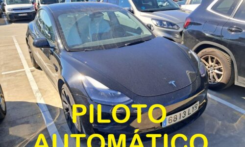 Tesla Model 3 Performance AWD de ocasión en Dimasu