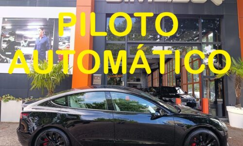 Tesla Model 3 Performance AWD de ocasión en Dimasu