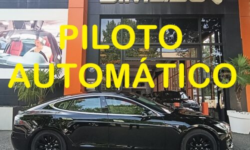 Tesla Model S 100D 4WD de ocasión en Dimasu