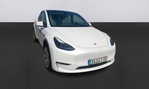 Tesla Model Y Gran Autonomía AWD de ocasión en Dimasu