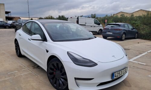 Tesla Model 3 Performance 4WD de ocasión en Dimasu