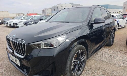 BMW X1 20d xDrive de ocasión en Dimasu